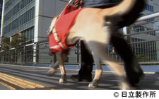 ISSU（イッシュ）
 オフィスを変えた一頭の盲導犬の物語　12分46秒