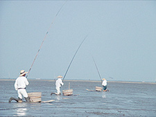 『有明海の干潟漁』